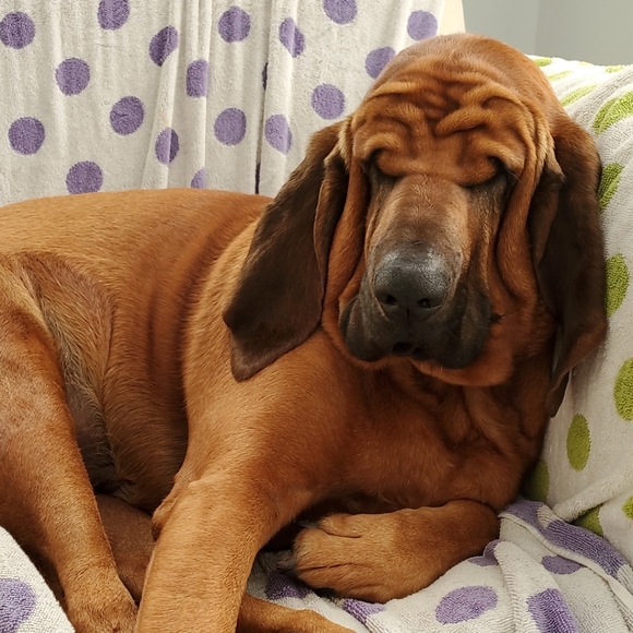 Meet your Posher, Mary - Picture 2 of 2